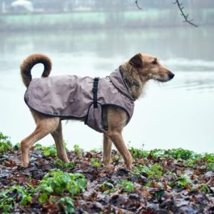 Kurtka dla psa z odblaskami marki Hunter beżowa 40