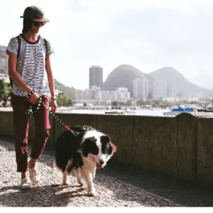 Piękna smycz  wzór czaszki z ruchomym karabińczykiem  Skull -L