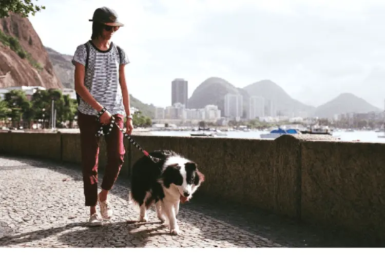 Piękna smycz  wzór czaszki z ruchomym karabińczykiem  Skull -L