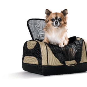 torba dla psa